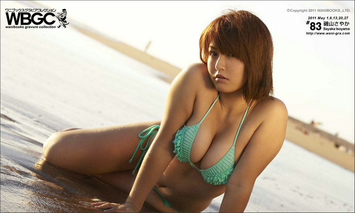 [Wanibooks(WBGC)] 2011.05月号 #83 Sayaka Isoyama 矶山さやか