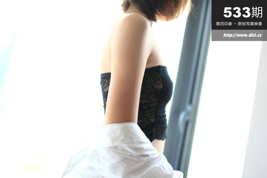 第四印象 [DISI写真] 2015.11.30 NO.533 [18P/5MB]