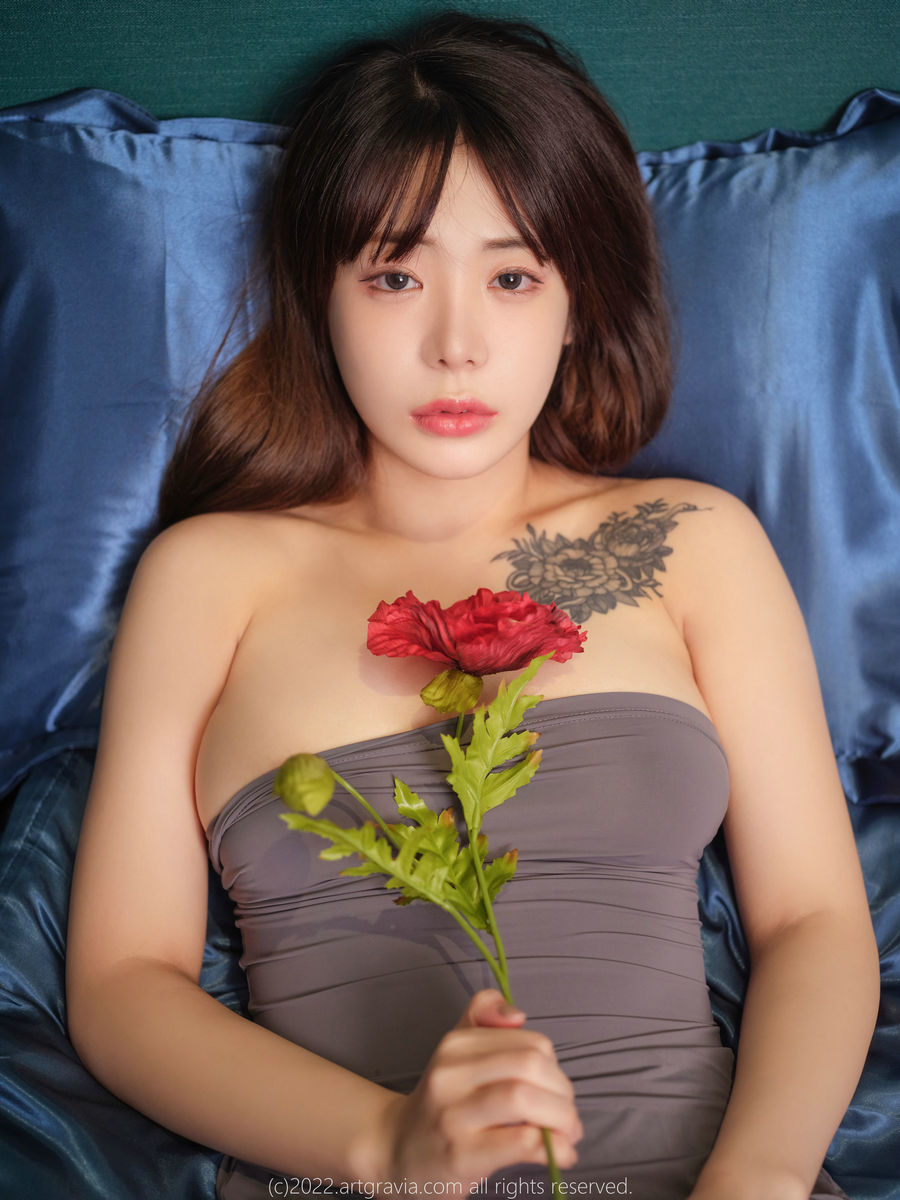 [ARTGRAVIA] VOL.427 Wuyo [101P-220MB]