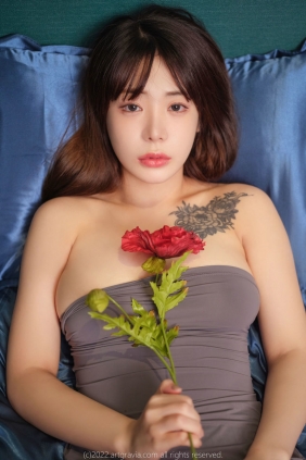 [ARTGRAVIA] VOL.427 Wuyo [101P-220MB]