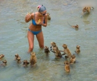 美女就是受欢迎