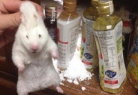 再萌也弥补不了你的过错。。。